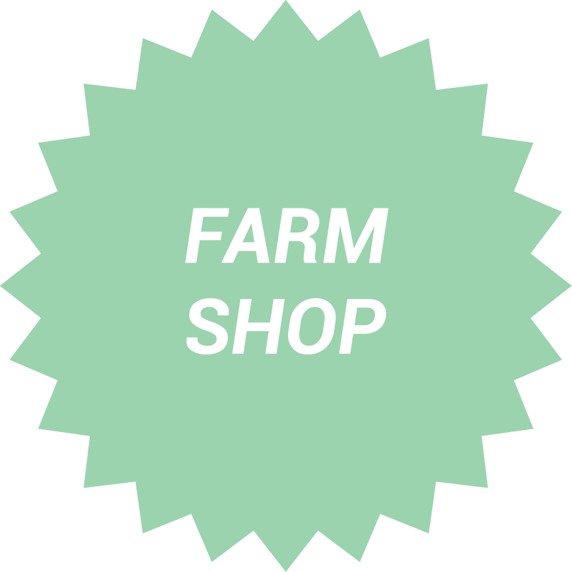 Pastel Green 24-Point Star Shaped Button with Text "Farm Shop"