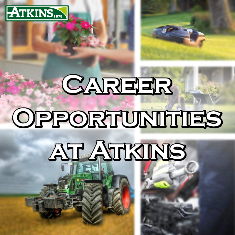 Atkins Vacancies March 2023