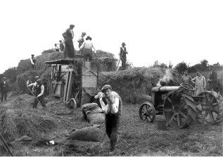 An old black and white photo of farmers working
