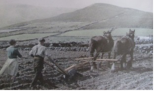 An old photo of man and women in field, two horses pulling the plough