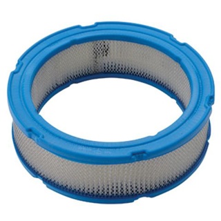 Briggs and Stratton 394018S Air Filter