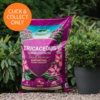 Gro-Sure Ericaceous Compost (50ltr)