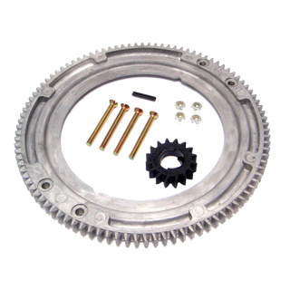 Briggs And Stratton 499612 Gear Ring