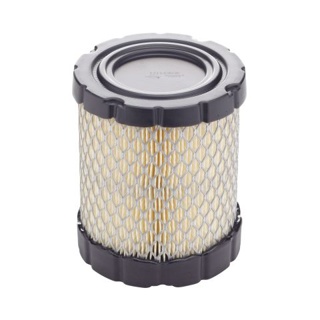 Briggs and Stratton 798897 Air Filter