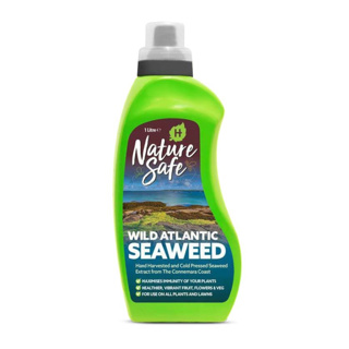 Wild Atlantic Seaweed (1ltr)
