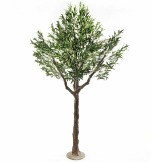 230cm Olive Tree