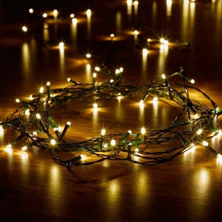 50 LED Warm White String Lights (Indoor/Outdoor)