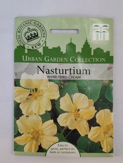 Nasturtium Whirlybird Cream