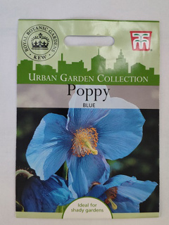 Poppy Grandis Blue