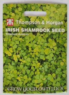 Irish Shamrock Seed