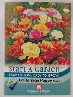 Californian Poppy Mixed
