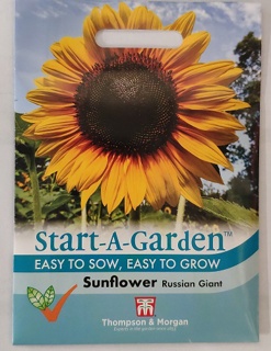 Sunflower Russian Giant