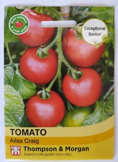 Tomato Ailsa Craig 