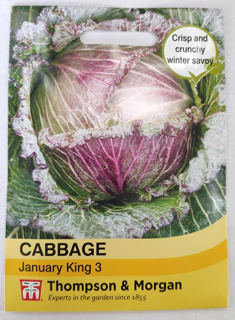 Cabbage January King 3