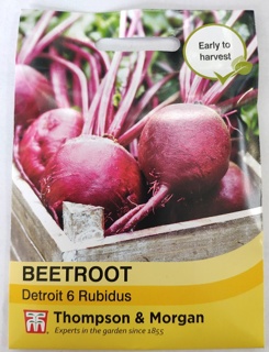 Beetroot Detroit 6 Rubidus 