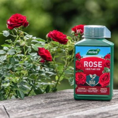 Rose Plant Food concentrate (1ltr)