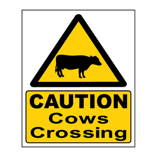 Caution Cows Crossing - Steel Sign