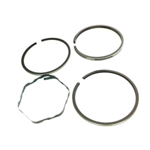Briggs And Stratton 299089 Ring Set