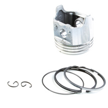 Briggs And Stratton 390364 Piston And Rings