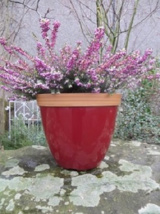 10" Provence Plastic Planter (Ruby Red) 