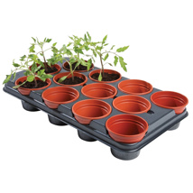 Professional Growing Tray (12 x 11cm Pots)