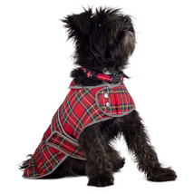 Highland Tartan Dog Coat (Medium)