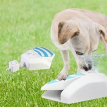 Chill Out Water Fountain for Dogs