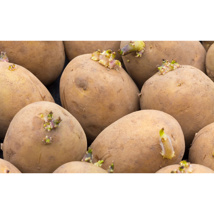 Duke Of York Seed Potatoes (2kg)