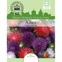  Aster Ostrich Plume Mixed Seed Packet