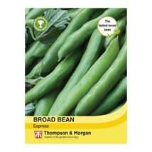 Broad Bean Express 
