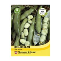 Broad Bean The Sutton 