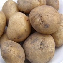 British Queens Seed Potatoes (2kg)
