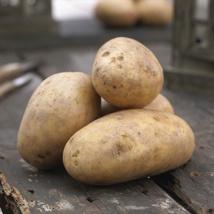 Golden Wonder Seed Potatoes (5kg)