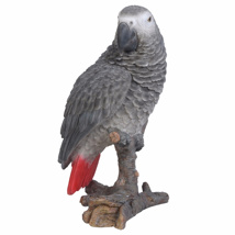 Vivid Arts African Grey Parrot Resin Ornament